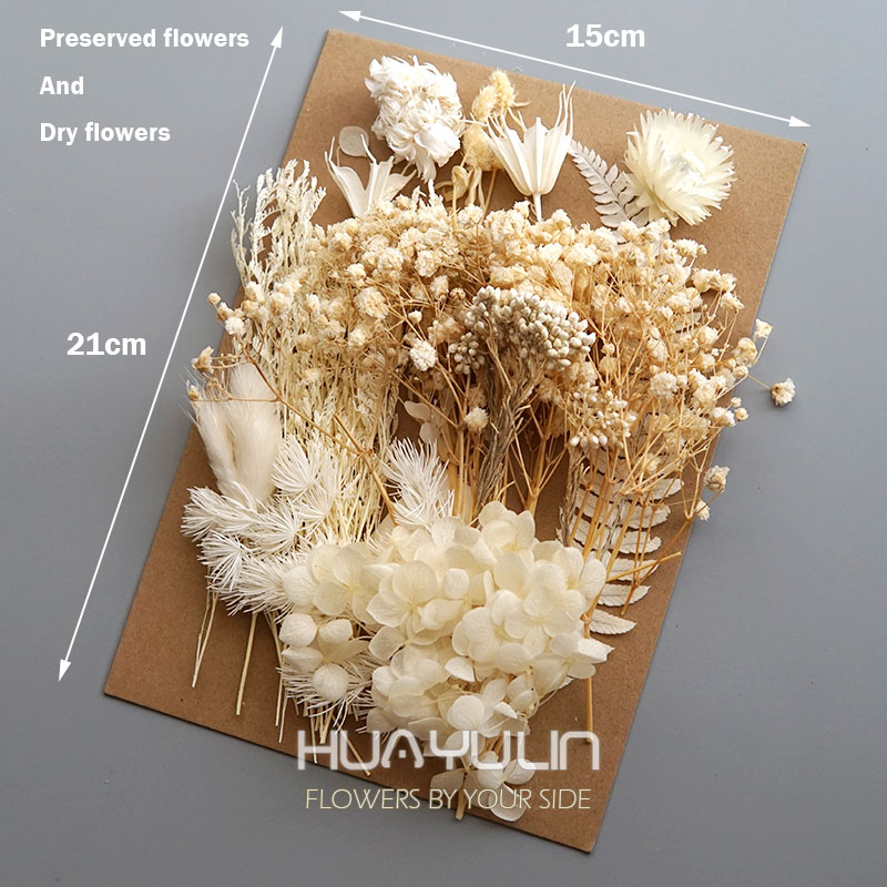 1 confezione di piante artific - Dried Flower Bulk recensione e prezzo